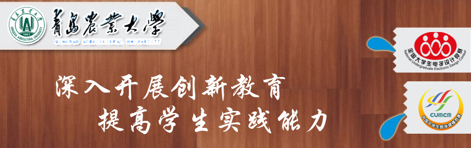 回家過年
